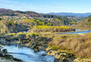 Cerrajeros Arbo 24 horas