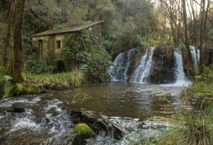 Cerrajeros Forcarei 24 horas